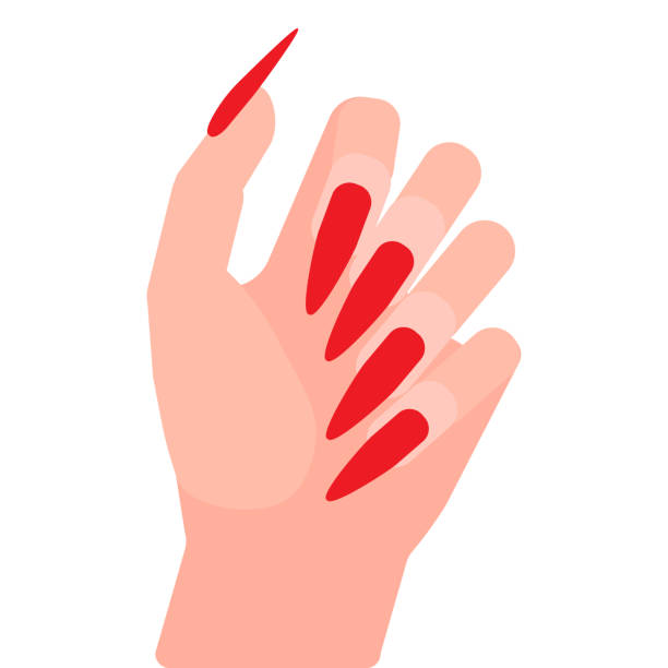 55 Cartoon Of A Long Nails Illustrations & Clip Art - iStock 55 Cartoon Of A Long Nails Illustrations & Clip Art - iStock