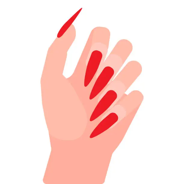 Vector illustration of Long red nails on woman hand. Nail extension, extreme length. Cover your nails with red polish. Girl loves manicure. Vector illustration on white background