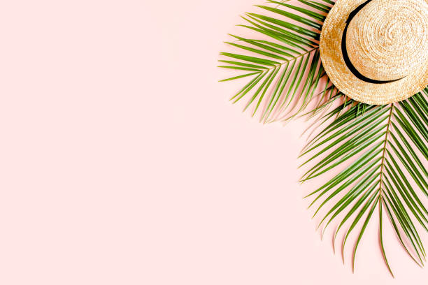 istock Summer background. Tropical palm leaf branches, straw hat on pink background with empty space for text. Travel vacation concept. Flat lay, top view 1262406331