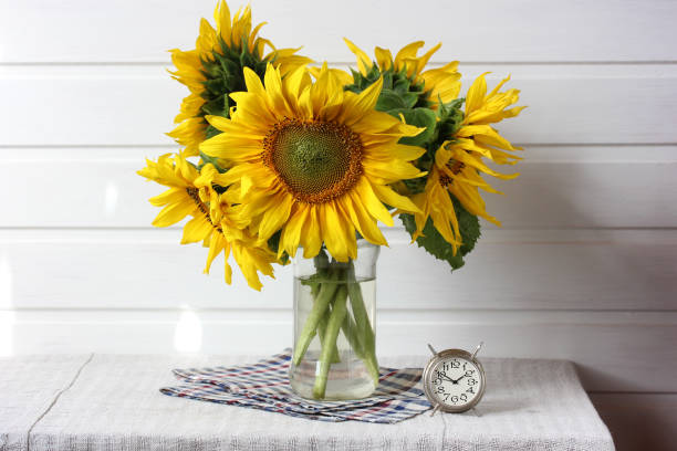 istock sunflowers and an alarm clock on the table 1262412521