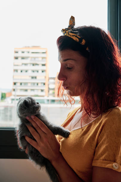 istock young woman playing with little grey cat 1262415413