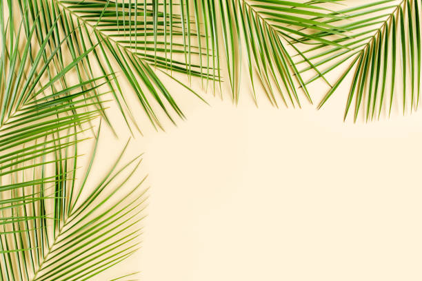 istock Tropical leaf on yellow background. Flat lay, top view 1262415611