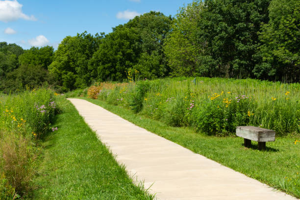 istock Pathway to Butterfly Garden 1262417975