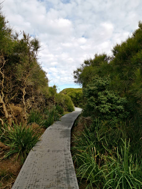 istock Beautiful coalstal trail along the ocean front in the national park 1262424748