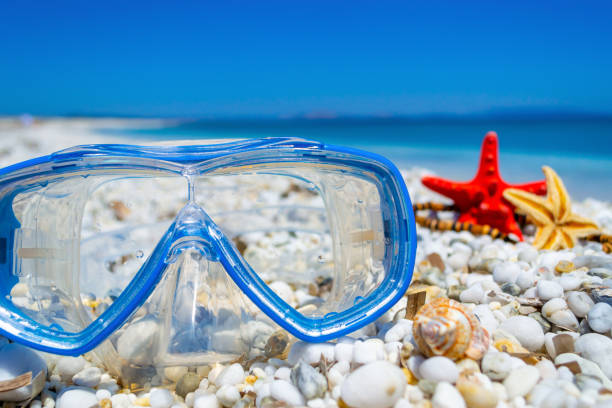 istock Scuba mask on white pebbles by the sea 1262426445
