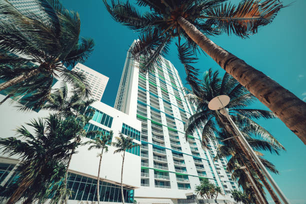 istock Coconut palm trees and skyscrapers in downtown Miami 1262426501