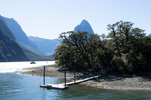 Pier at Bay of Milford Sound, Fiordland, New Zealand