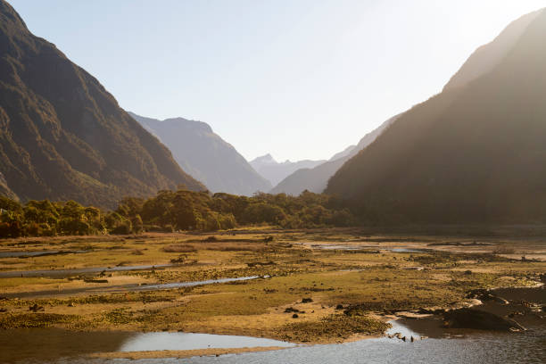 istock Scenery at Milford Sound 1262426573