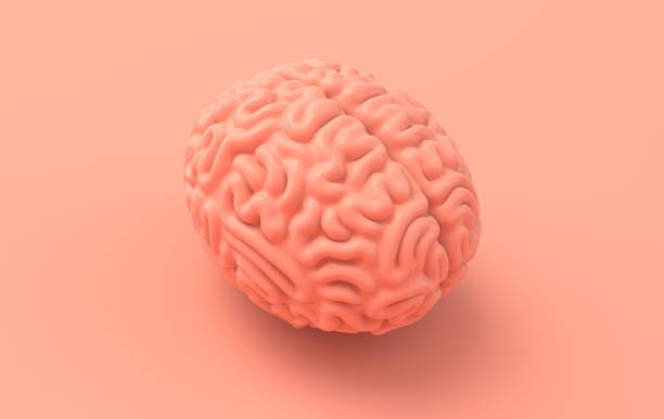 istock 3d brain rendering illustration template background. The concept of intelligence, brainstorm, creative idea, human mind, artificial intelligence. 1262433821