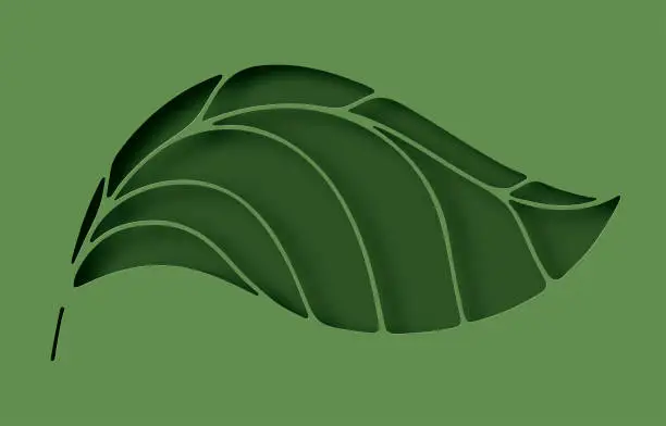 Vector illustration of Paper elegant leaf hole layer cut abstract background. Ecology and environment conservation concept. Paper art style. Vector illustration.
