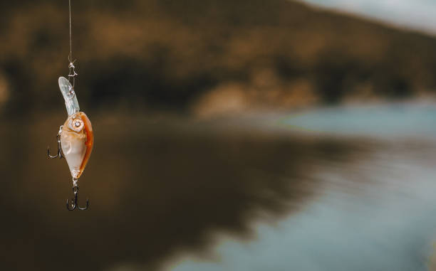 istock Fishing bait a wobbler 1262449790