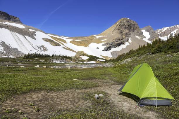 istock Wilderness Bivouac Site in Canadian Rockies 1262451420