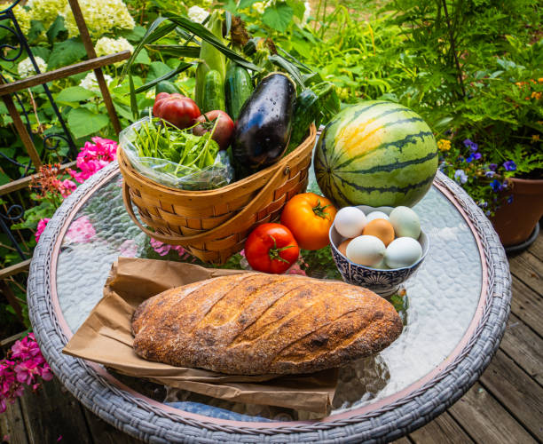istock Fresh farm food 1262467957