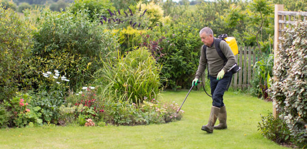 jardinero horticulturalista rociar hierba asesina en el césped - mantenimiento del jardín - herbicida fotografías e imágenes de stock