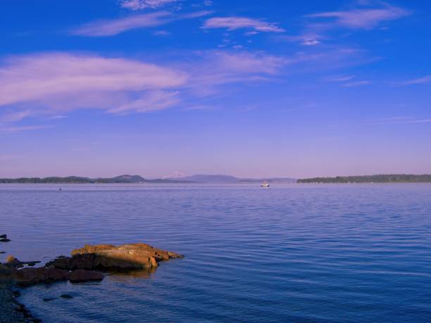istock Purple sunset at the shore of Sidney BC 1262478696