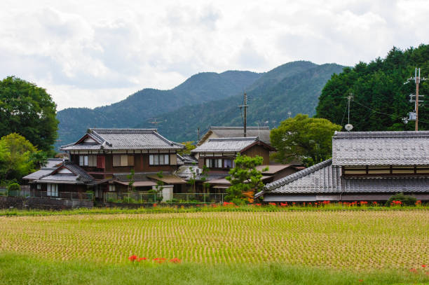 istock Rural landscape in Japan 1262479667