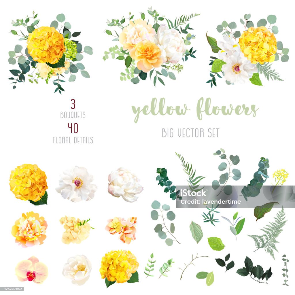 Vetores de Hortênsia Amarela Rosa Mostarda Peônia Íris Branca Orquídea  Flores Do Jardim Da Primavera e mais imagens de Flor - iStock