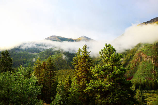 istock Morning Fog 1262506048