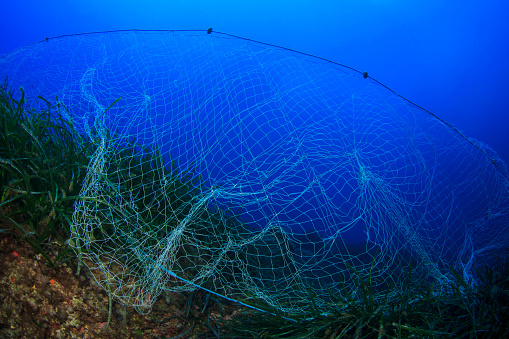 Old discarded fishing nets snagged on coral cause environmental problem. They still kil fish and cause pollution in the sea