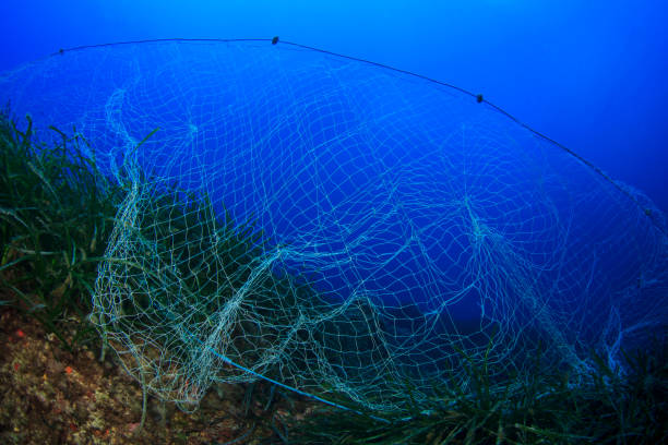 Ghost net Old discarded fishing nets snagged on coral cause environmental problem. They still kil fish and cause pollution in the sea commercial fishing net photos stock pictures, royalty-free photos & images