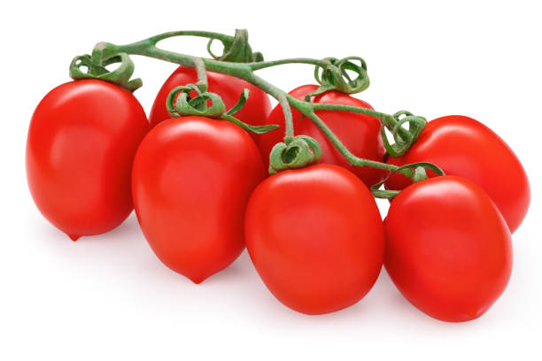 bunch of red roma vf tomatoes. solanum lycopersicum. fresh plum tomato cluster. vegetable isolated on white background. - plum tomato fotos imagens e fotografias de stock