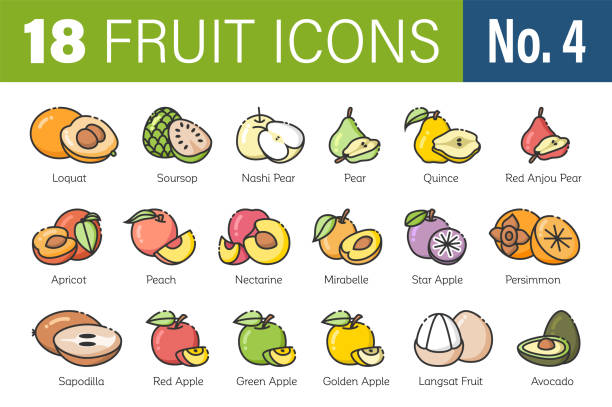 Fruit types vector icons symbols set Fruit types vector icons symbols set chrysophyllum cainito stock illustrations