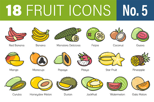 Tropical fruit types icon set collection vector