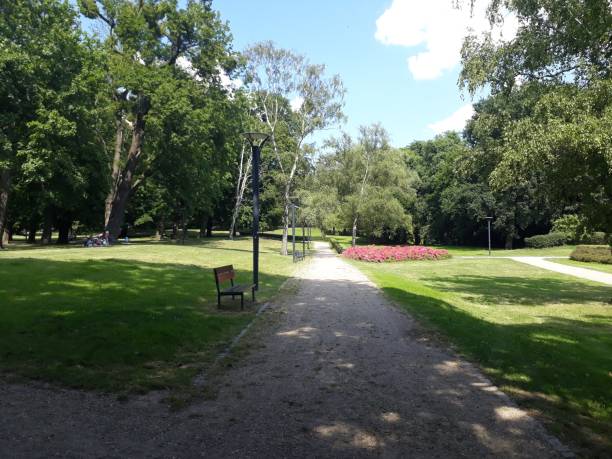 istock open ground in the public park 1262570307
