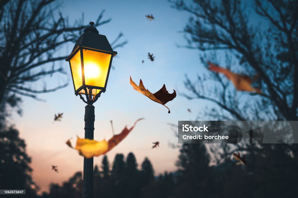 Autumn Time Last autumn leaves falling from the trees at night. Illuminated street lamp in the park. Street Light Stock Photo