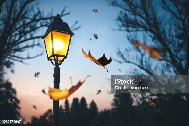 Autumn Time Stock Photo - Download Image Now - Street Light, Autumn, Night