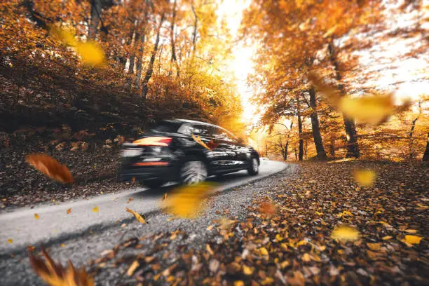 Driving in pure autumn conditions. Colorful leaves are falling from the trees.