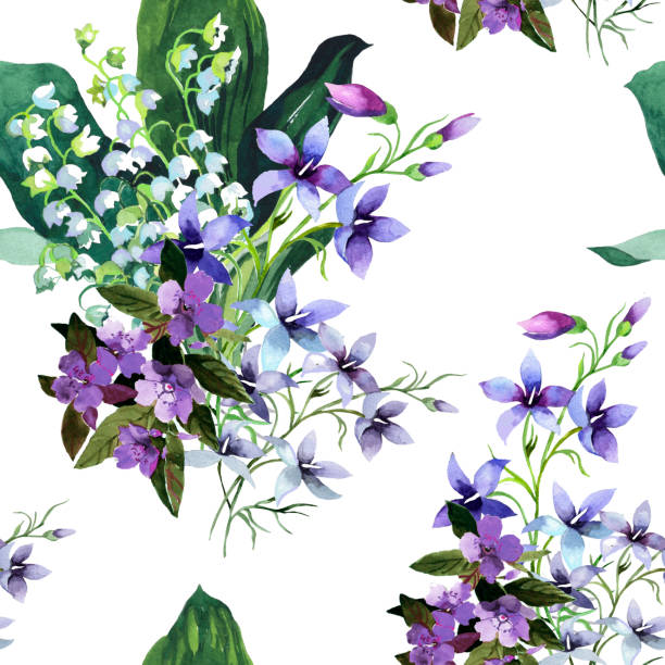 Purple Lily Of The Valley Pictures Illustrations, Royalty-Free Vector  Graphics & Clip Art - iStock