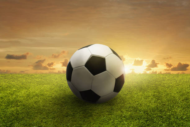istock Soccer ball on a playing field 1262574346