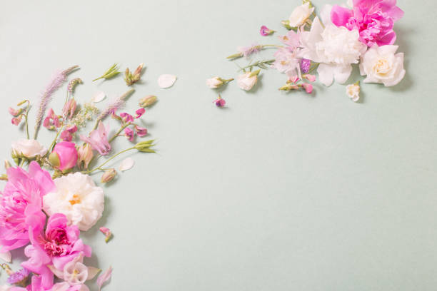 istock pink and white roses on paper background 1262578199