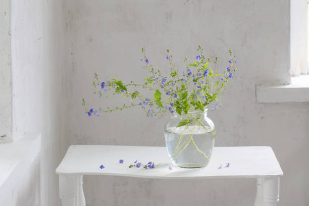 fleurs sauvages veronica dans le pot dans l’intérieur blanc vintage - flower pot vase purple decor photos et images de collection