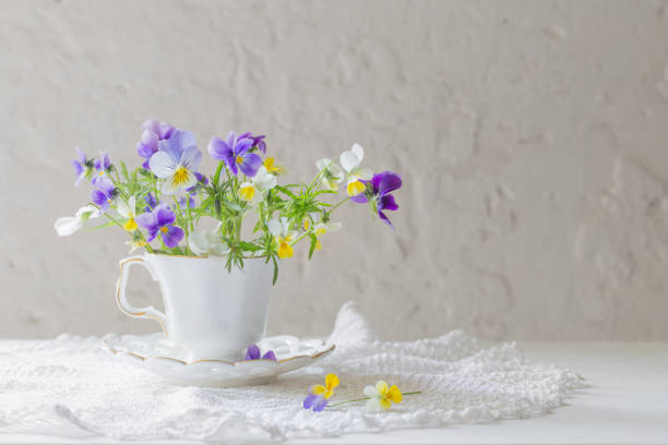istock viola flowers in white cup on white background 1262578232