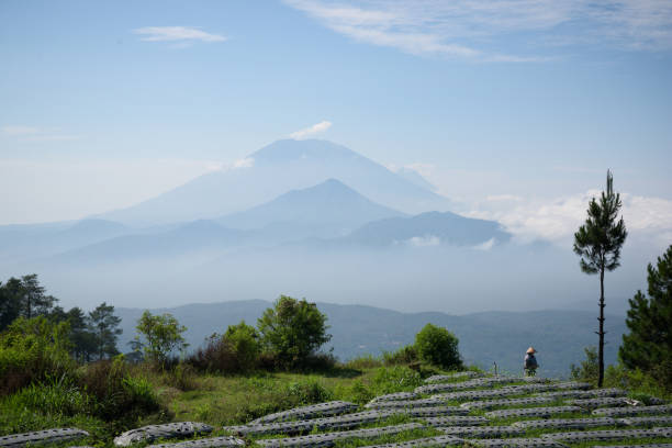 candi gedong songo o wschodzie słońca ii-wieczny buddyjski kompleks świątynny na wulkanie w pobliżu semarang, jawa, indonezja - candi zdjęcia i obrazy z banku zdjęć