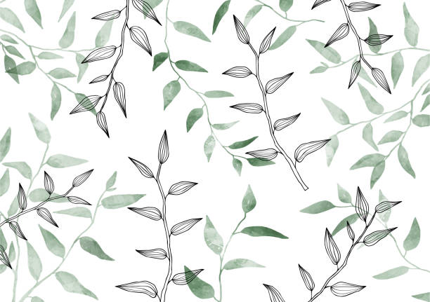 Seamless exotic pattern with leaves. Watercolor, Line drawing. Hand drawn style. Herbal, Greenery, leaf. Modern neutral Vector illustration. Background. Poster, Card. Vector design illustrations. vine plant illustrations stock illustrations