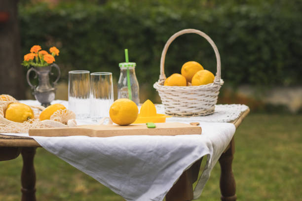 Low angle view of table set up in a domestic backyard to enjoy springtime with homemade lemonade for all the family.