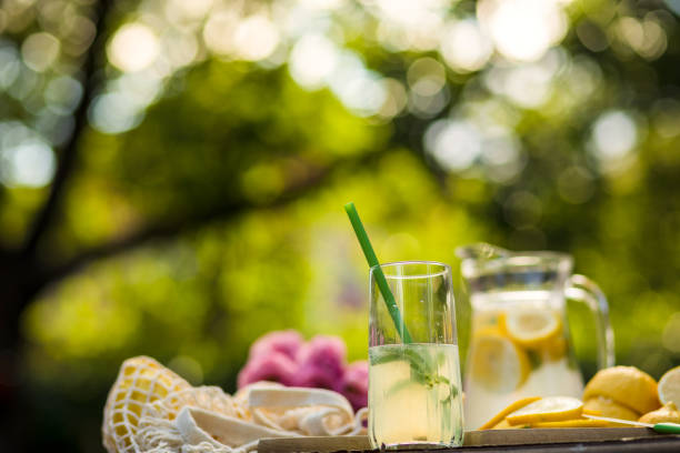 Low angle view of a table with refreshing lemonade placed in an outdoor area with high trees and plants.