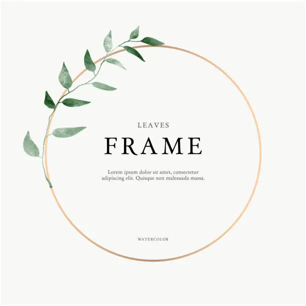 Vector illustration of leaves minimalistic vector round frame. Hand drawing plants, branches, Herbal. Greenery wedding square invitation. leaf, Circle. Gold line. Watercolor style. Modern neutral design for poster, card.
