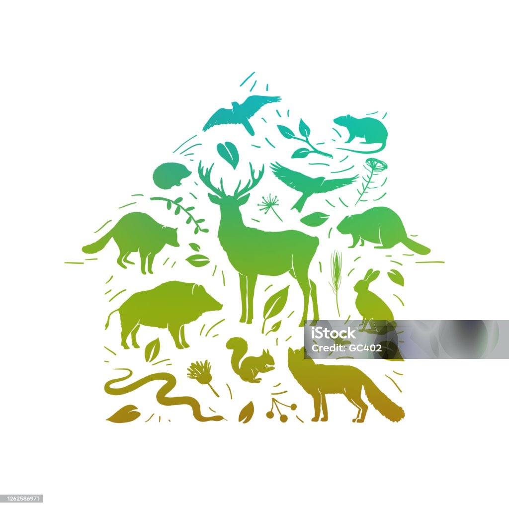 Vector Forest Animals Set Home For Wild Animal Flat Animals Silhouettes In  Green Colors World Animal Day Wild Planet Ecosystem Protection Concept Of  Wildlife Protection And Rescue Stock Illustration - Download Image
