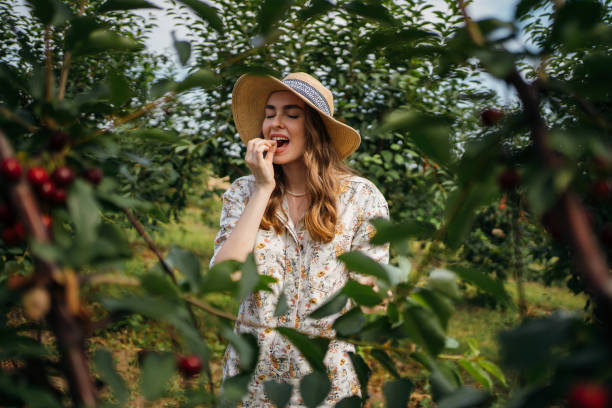 piękna kobieta w sadzie - cherry cherry tree tree fruit zdjęcia i obrazy z banku zdjęć