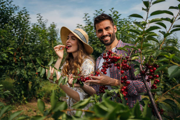 istock Beautiful couple in the orchard 1262593521