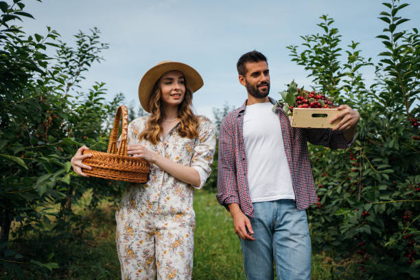 istock Beautiful couple in the orchard 1262593535