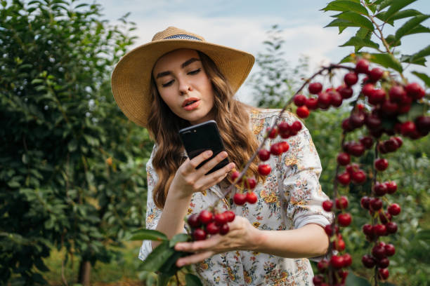 istock Beautiful woman in the orchard 1262593572