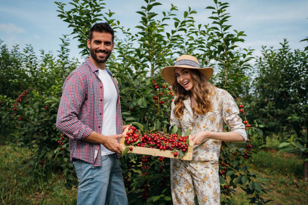 istock Beautiful couple in the orchard 1262593586