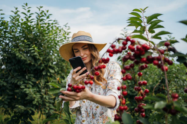 istock Beautiful woman in the orchard 1262593619