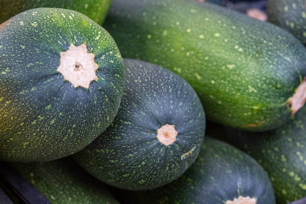 istock Solid background of fresh ripe and natural zucchini 1262594033