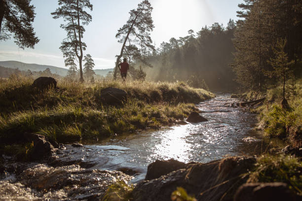 istock Morning jogging in a field 1262595518